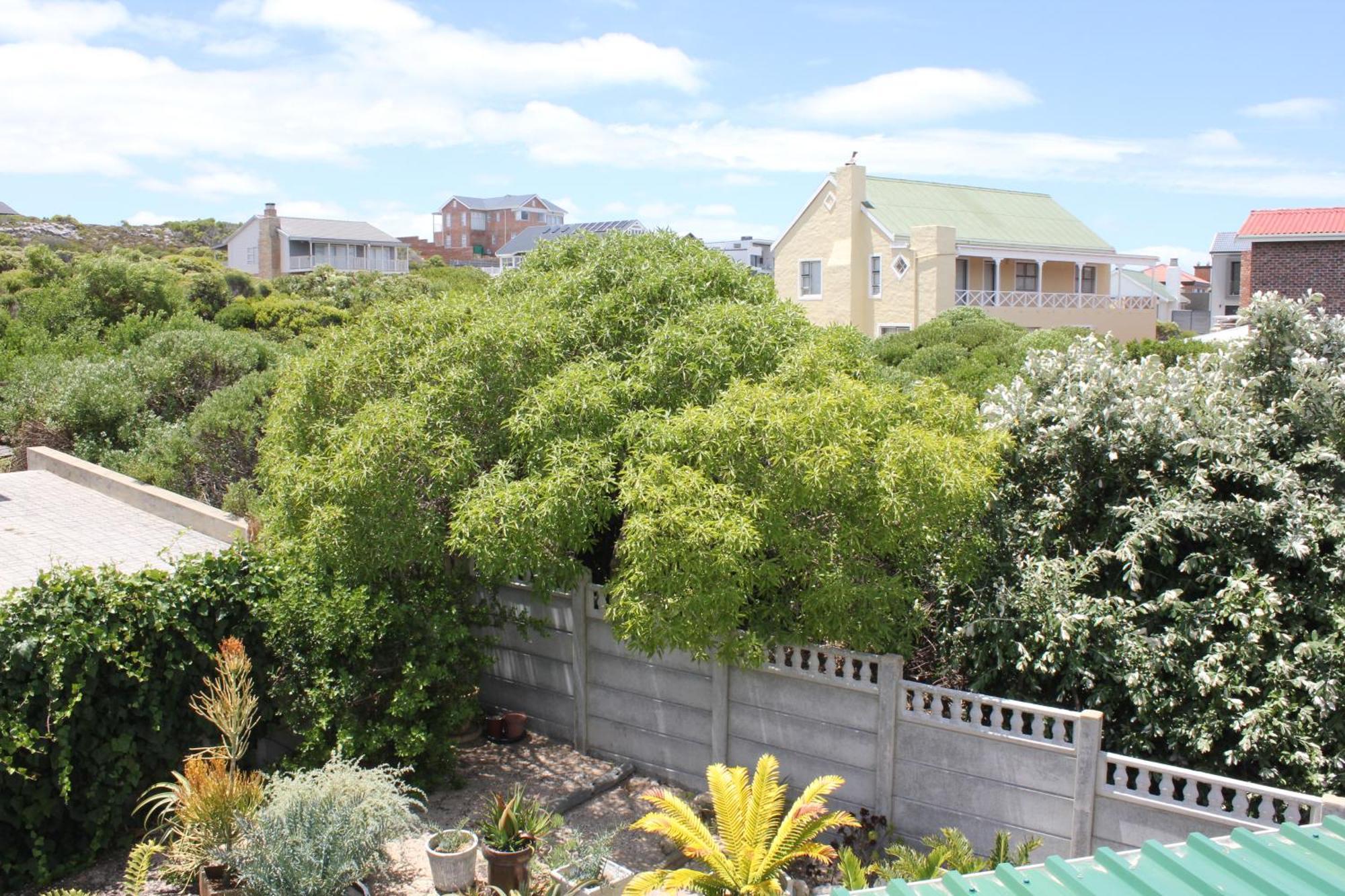The Sun Catcher Bed & Breakfast Struisbaai Rom bilde